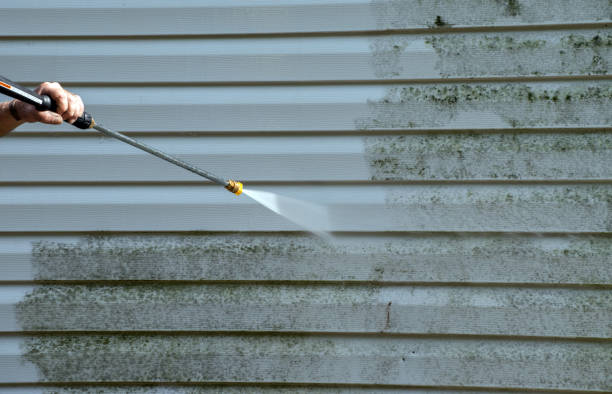 Best Commercial Building Pressure Washing  in Bernie, MO